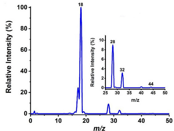 Typisches Spektrum, das mittels Massenspektrometrie mit Membraneinlass aufgenommen wurde