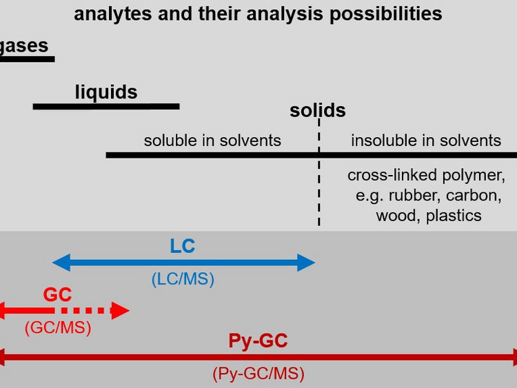 [Translate to English:] Presentation that pyrolysis gas chromatography is suitable for gaseous, liquid and solid samples